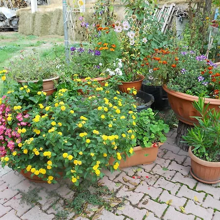 Monti Sibillini Camperato Farm stay