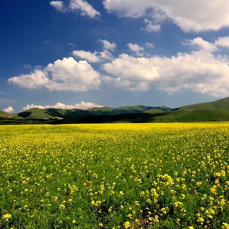 Monti Sibillini Camperato *