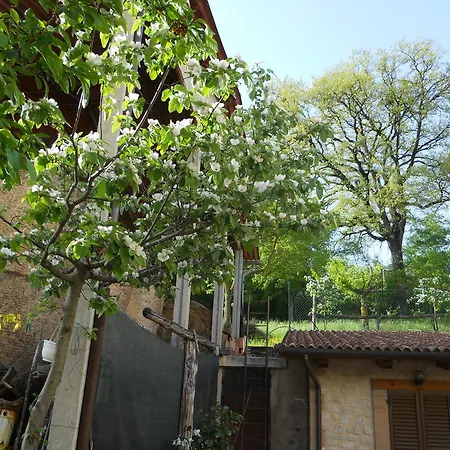 Farm stay Monti Sibillini Camperato