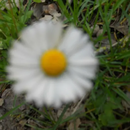 Monti Sibillini Camperato Farm stay Preci